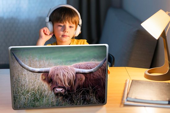 Laptop sticker - 15.6 inch - Schotse Hooglander - Hoorns - Gras - 36x27,5cm - Laptopstickers - Laptop skin - Cover
