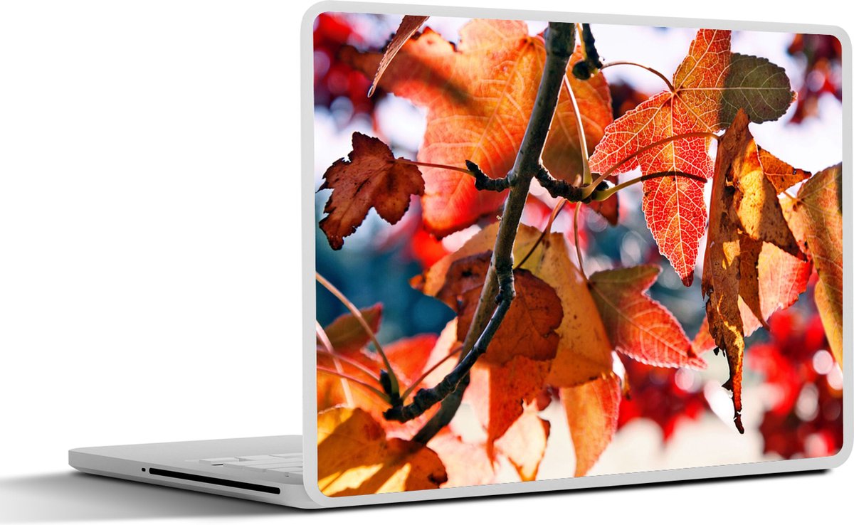 Laptop sticker - 15.6 inch - Esdoorn - Bladeren - Landelijk - Herfst - 36x27,5cm - Laptopstickers - Laptop skin - Cover