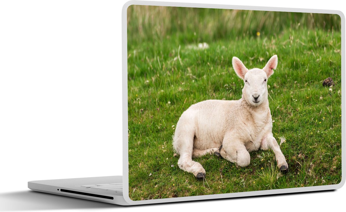 Laptop sticker - 11.6 inch - Schaap - Dieren - Lam - 30x21cm - Laptopstickers - Laptop skin - Cover