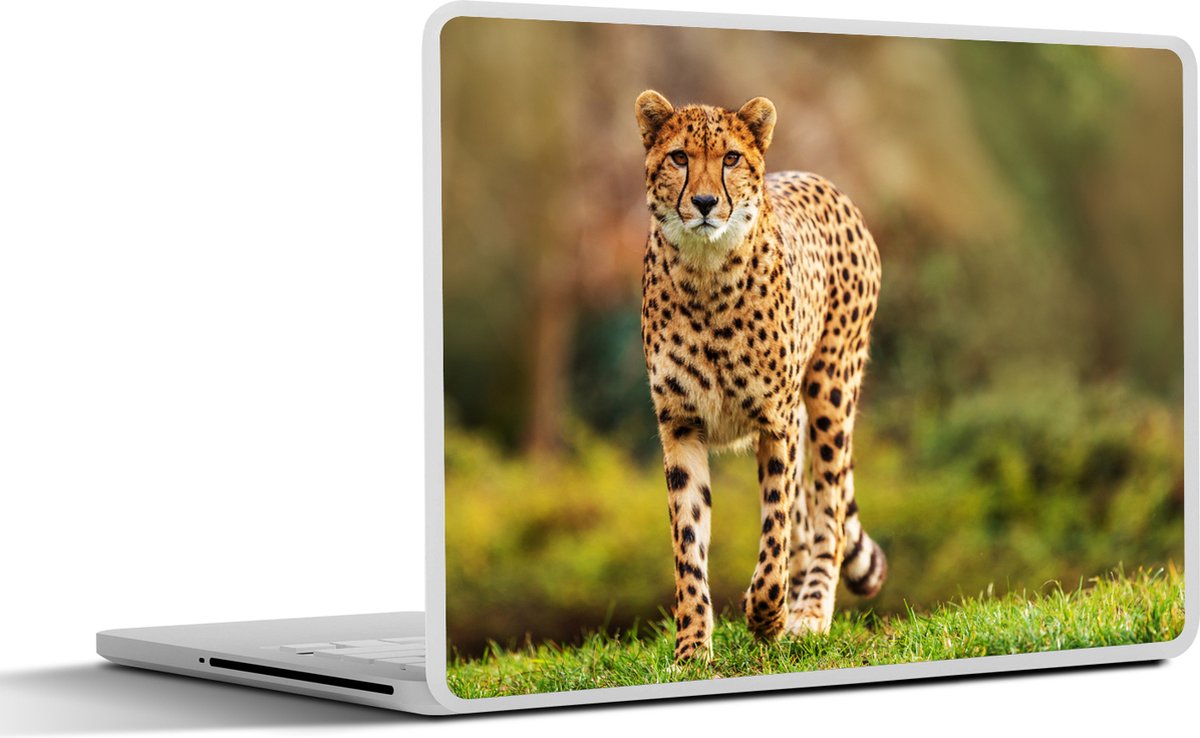 Laptop sticker - 11.6 inch - Wilde dieren - Gras - Luipaard - Natuur - 30x21cm - Laptopstickers - Laptop skin - Cover