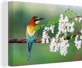 Tableau sur toile Vogel - Guêpier - Fleurs - 90x60 cm - Décoration murale