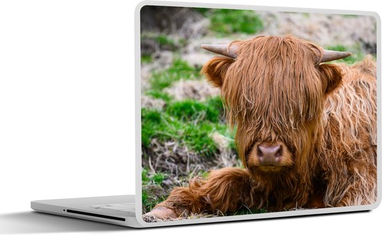 Laptop sticker - 15.6 inch - Schotse Hooglander - Hooi - Gras - 36x27,5cm - Laptopstickers - Laptop skin - Cover
