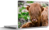 Laptop sticker - 15.6 inch - Schotse Hooglander - Hooi - Gras - 36x27,5cm - Laptopstickers - Laptop skin - Cover