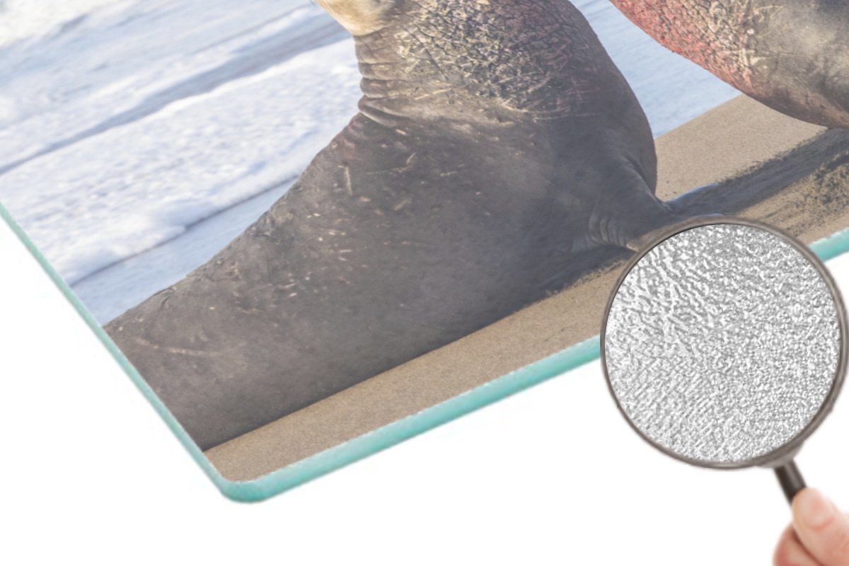 Glazen Snijplank - 39x28 - Zeekoe - Strand - Zand - Snijplanken Glas