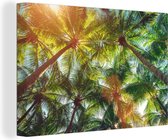 Auvent de palmiers toile 2cm 120x80 cm - Tirage photo sur toile (Décoration murale salon / chambre) / Mer et plage