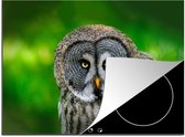 KitchenYeah® Inductie beschermer 71x52 cm - Vogel - Uil - Dieren - Bruin - Portret - Kookplaataccessoires - Afdekplaat voor kookplaat - Inductiebeschermer - Inductiemat - Inductieplaat mat