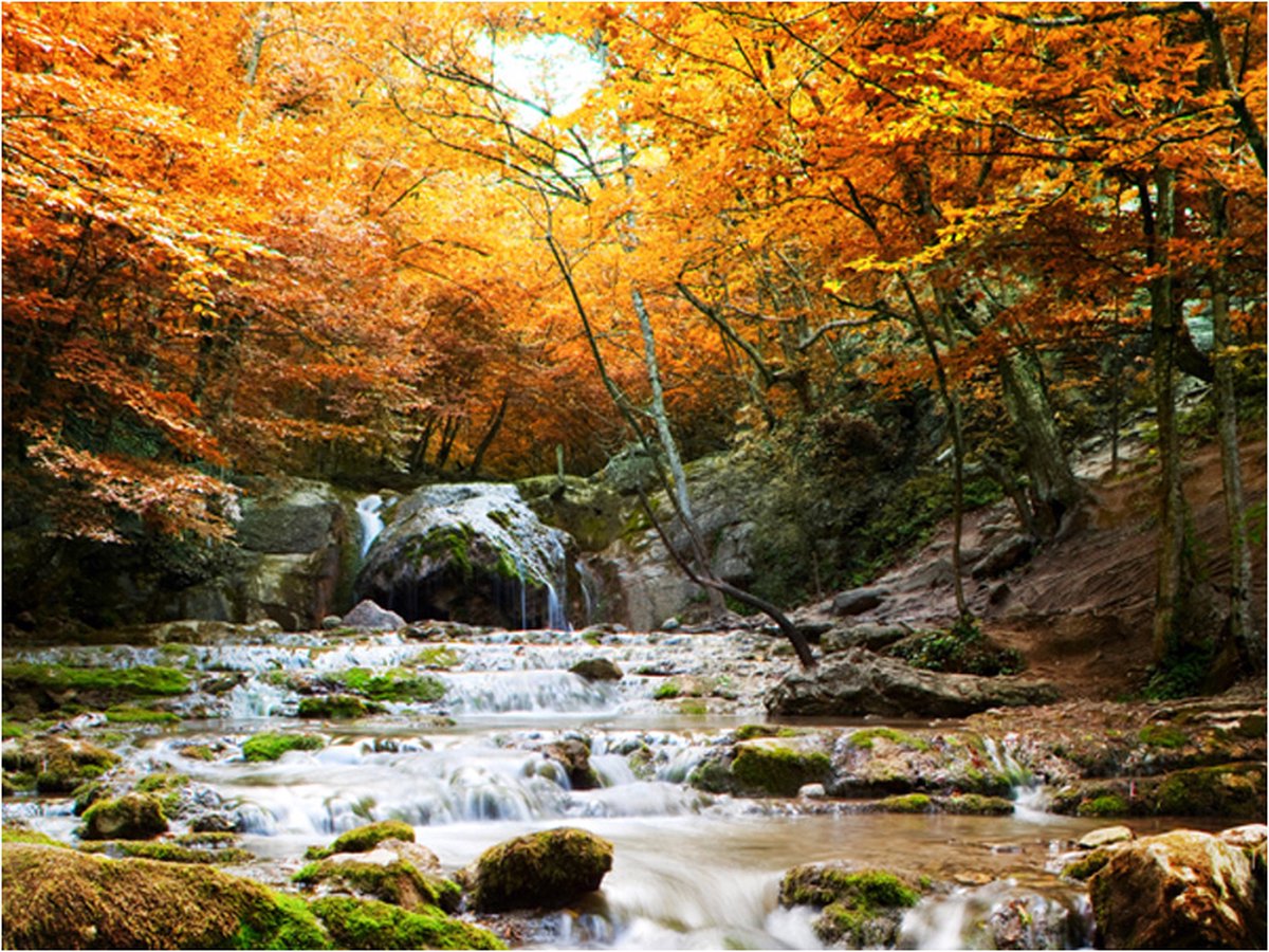 Fotobehang - herfst - waterval.