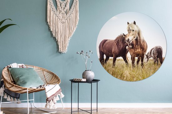 WallCircle - Wall Circle - Wall Circle Indoor - Paarden - Herbe - Printemps - 120x120 cm - Décoration murale - Peintures Ronds XXL