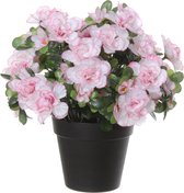 Louis Maes Azalea Kunstplant - in pot - wit/roze - H28 cm
