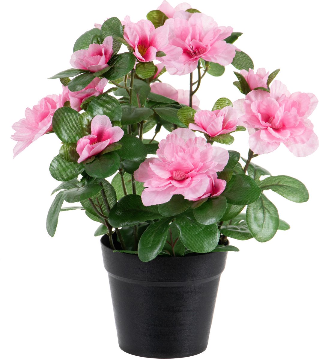 Louis Maes Azalea Kunstplant - roze - in binnenpot - H25 cm - kunstbloemen