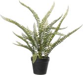 Louis Maes Varen Nephrolepis - Kunstplant - Groen - 50 cm