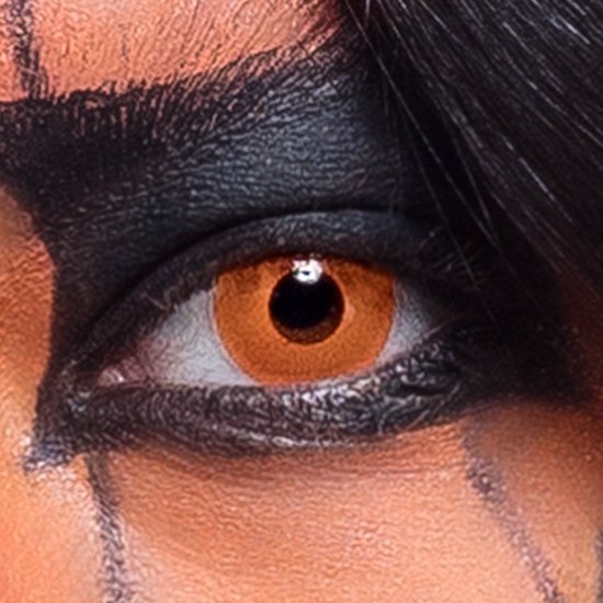 Lentilles hebdomadaires Citrouille