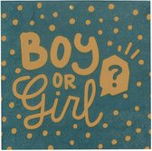 Boland - 20 papieren servetten Boy or Girl - Geen thema - Babyshower - Gender reveal