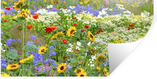 Muurstickers - Sticker Folie - Siergras met verschillende bloemen - 120x60 cm - Plakfolie - Muurstickers Kinderkamer - Zelfklevend Behang - Zelfklevend behangpapier - Stickerfolie