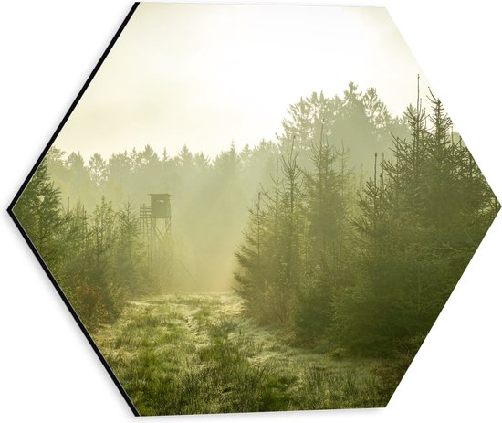 WallClassics - Dibond Hexagon - Bos met Vogelspotter Toren - 30x26.1 cm Foto op Hexagon (Met Ophangsysteem)