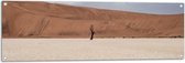WallClassics - Tuinposter – Eenzame Boom in de Woestijn - 120x40 cm Foto op Tuinposter  (wanddecoratie voor buiten en binnen)