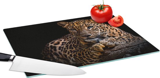 Planche à découper en verre avec un léopard tacheté, posé sur un rocher, avec une tomate et un couteau.