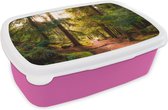 Broodtrommel Roze - Lunchbox - Brooddoos - Bos - Pad - Bomen - Groen - Zon - Natuur - 18x12x6 cm - Kinderen - Meisje
