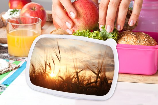 Broodtrommel Roze - Lunchbox - Brooddoos - Riet - Gras - Zonsondergang - Natuur - Horizon - 18x12x6 cm - Kinderen - Meisje