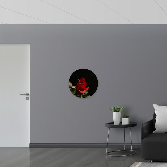 WallClassics - Cercle mural en Dibond - Rose rouge en gros plan avec feuilles vertes - Photo 60x60 cm sur cercle mural en aluminium (avec système de suspension)