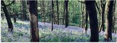 WallClassics - Poster (Mat) - Lavendel tussen Bomen - 60x20 cm Foto op Posterpapier met een Matte look