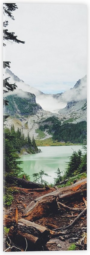 WallClassics - Acrylglas - Liggende Boomstronken in Berggebied met Mist - 20x60 cm Foto op Acrylglas (Met Ophangsysteem)