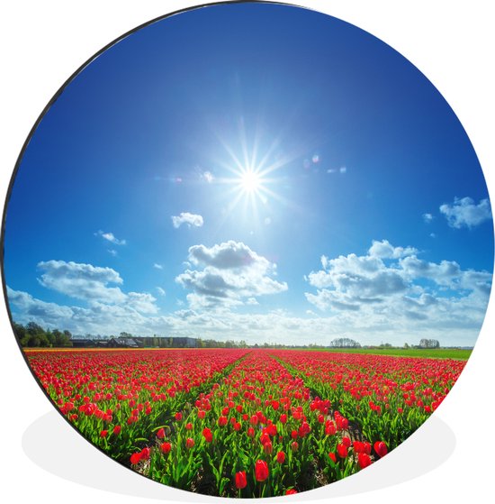 Le soleil brille de mille feux sur un champ de tulipes rouges parfaitement ordonné Cercle mural aluminium ⌀ 90 cm - impression photo sur cercle mural / cercle vivant / cercle jardin (décoration murale)