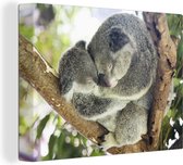 Canvas Schilderij Koala's - Knuffel - Dieren - Kids - Jongens - Meiden - 80x60 cm - Wanddecoratie