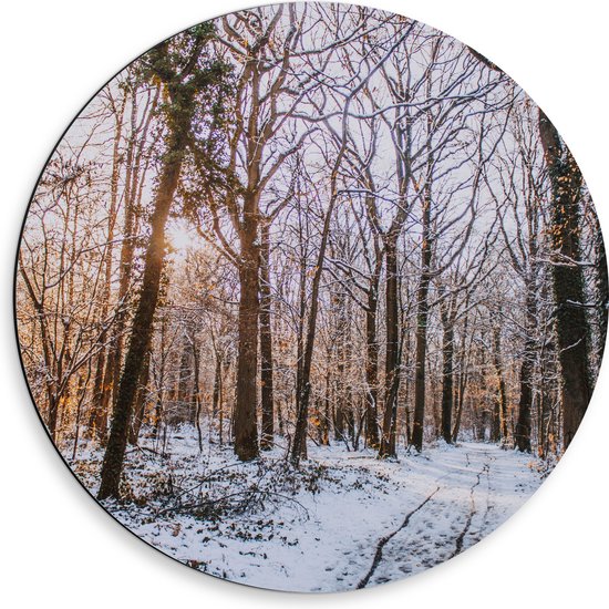 WallClassics - Dibond Muurcirkel - Kale Bomen in Bos tijdens Winter - 50x50 cm Foto op Aluminium Muurcirkel (met ophangsysteem)