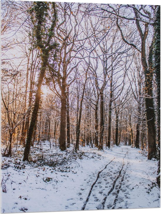 WallClassics - Acrylglas - Kale Bomen in Bos tijdens Winter - 75x100 cm Foto op Acrylglas (Wanddecoratie op Acrylaat)