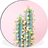 WallCircle - Wandcirkel - Muurcirkel - Cactus versierd met zoetigheid - Aluminium - Dibond - ⌀ 30 cm - Binnen en Buiten
