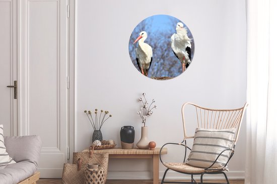 Deux belles cigognes dans leur nid Cercle mural aluminium ⌀ 60 cm - Tirage photo sur cercle mural / cercle vivant / cercle de jardin (décoration murale)