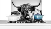 Spatscherm keuken 70x50 cm - Kookplaat achterwand Koe - Schotse hooglander - Zwart - Wit - Dier - Natuur - Wild - Muurbeschermer - Spatwand fornuis - Hoogwaardig aluminium - Alternatief voor spatscherm glas