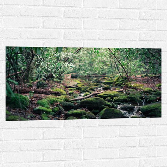 WallClassics - Muursticker - Riviertje met Groene Stenen - 100x50 cm Foto op Muursticker