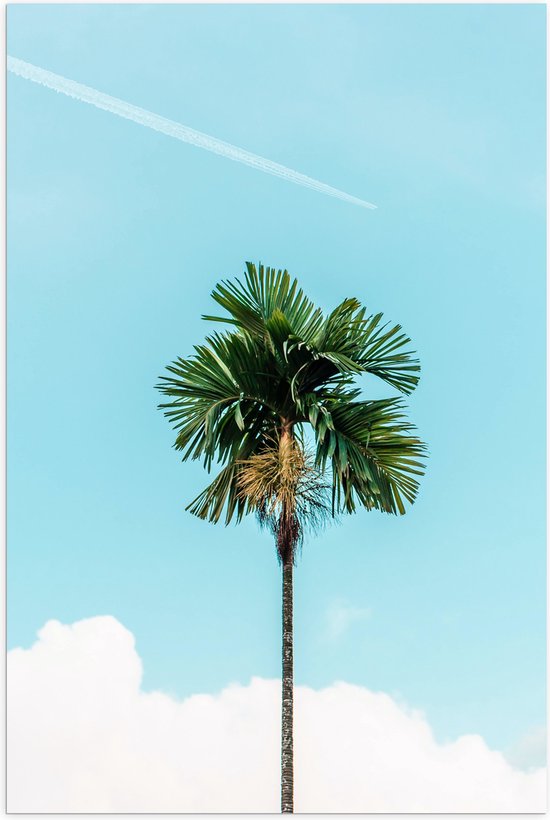 WallClassics - Poster (Mat) - Rechte Palmboom bij Blauwe Lucht en Wolken - 60x90 cm Foto op Posterpapier met een Matte look
