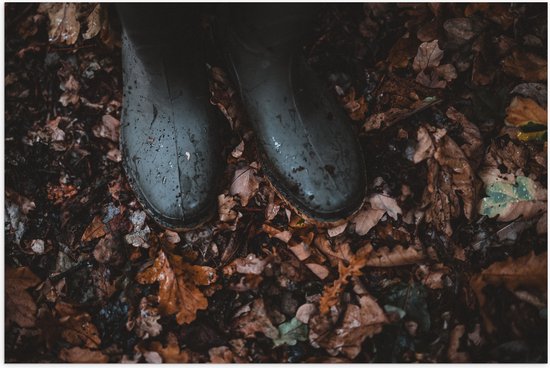 WallClassics - Poster Glossy - Bottes de Pluie dans les Feuilles d'Automne - 120x80 cm Photo sur Papier Poster avec Finition Brillante