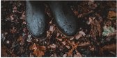 WallClassics - Poster Glossy - Bottes de Pluie dans les Feuilles d'Automne - 100x50 cm Photo sur Papier Poster avec Finition Brillante