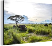 Wanddecoratie Metaal - Aluminium Schilderij Industrieel - Hoog groen gras en wilde dieren in het Nationaal park Serengeti in Tanzania - 120x80 cm - Dibond - Foto op aluminium - Industriële muurdecoratie - Voor de woonkamer/slaapkamer
