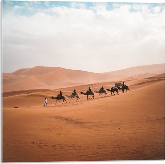 WallClassics - Acrylglas - Rij Kamelen in Woestijn - 50x50 cm Foto op Acrylglas (Met Ophangsysteem)