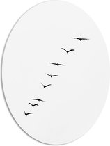 WallClassics - PVC Schuimplaat Ovaal - Schuine Lijn van Zwarrte Vogels op Witte Achtergrond - 51x68 cm Foto op Ovaal  (Met Ophangsysteem)