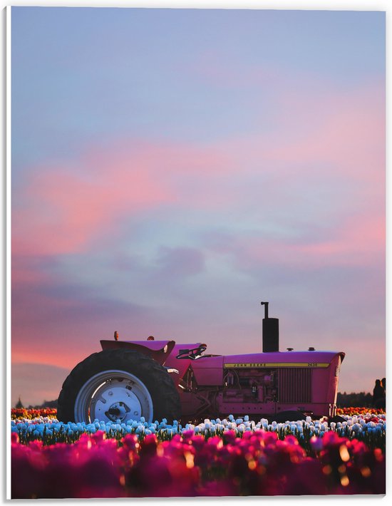 WallClassics - PVC Schuimplaat- Roze Traktor in Felkleurend Bloemenveld - 30x40 cm Foto op PVC Schuimplaat