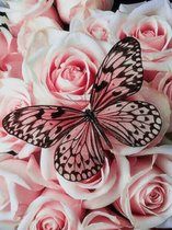 Lienz® Peinture de diamants adultes 30x40cm – Rond – Papillons – Fleurs – Rose Rose – Forfait Adultes
