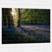 WallClassics - Muursticker - Zonnetje Schijnend op Lavendel  - 100x75 cm Foto op Muursticker