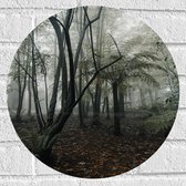 WallClassics - Muursticker Cercle - Forêt brumeuse - 40x40 cm Photo sur Muursticker