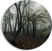 WallClassics - Cercle mural en panneau de mousse PVC - Forêt brumeuse - Photo sur cercle mural 40x40 cm (avec système d'accrochage)