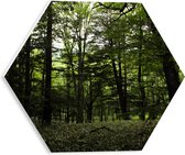 WallClassics - PVC Schuimplaat Hexagon - Alleenmaar Groen in het Bos - 30x26.1 cm Foto op Hexagon (Met Ophangsysteem)