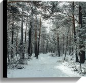 WallClassics - Toile - Forêt d'hiver - 40x40 cm Photo sur toile (Décoration murale sur toile)