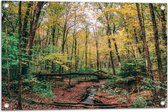 WallClassics - Tuinposter – Omgevallen bomen over Rivier - 75x50 cm Foto op Tuinposter  (wanddecoratie voor buiten en binnen)