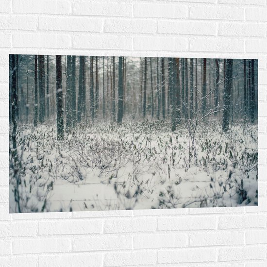 WallClassics - Muursticker - Foto van Besneeuwde Grond - 105x70 cm Foto op Muursticker