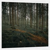WallClassics - Muursticker - Forêt Colline - 100x100 cm Photo sur Muursticker